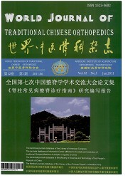 世界中医骨科杂志封面