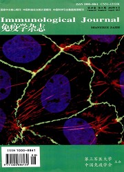 免疫学杂志封面