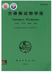 古脊椎动物学报封面
